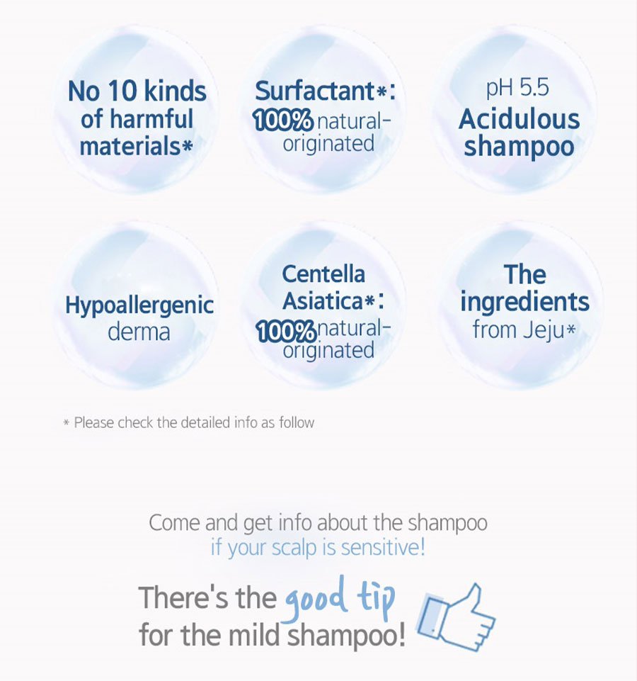 Derma Scalp Care Shampoo - Ingredient