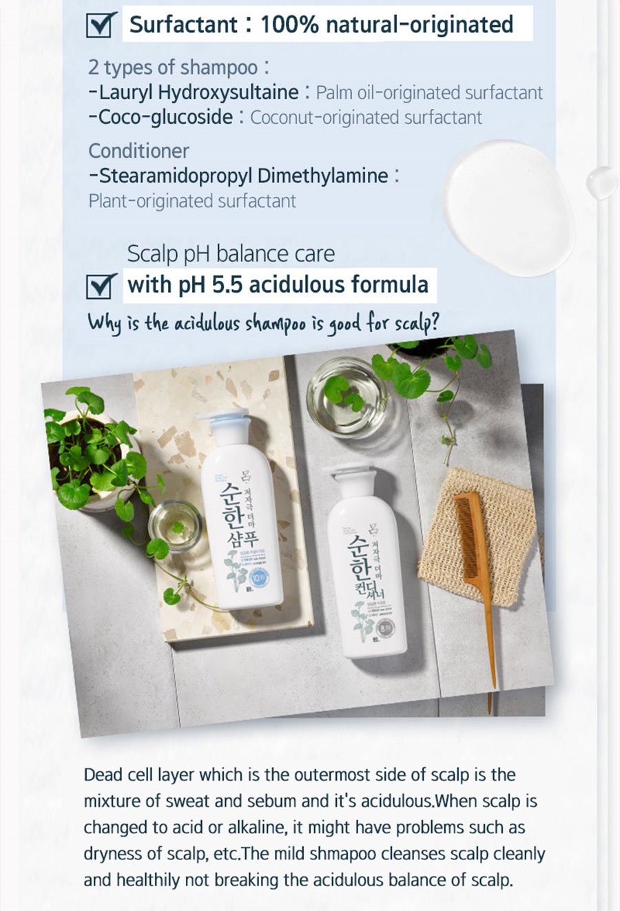 Derma Scalp Care Shampoo - Ingredient
