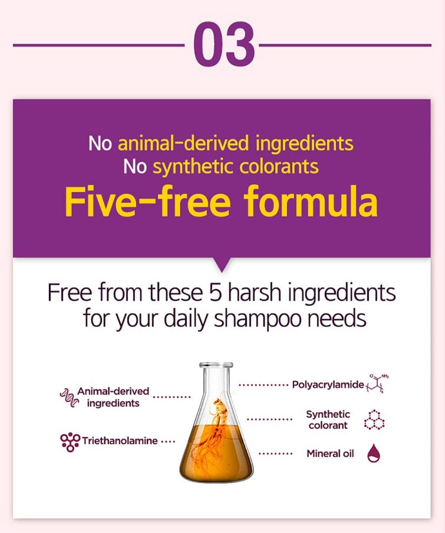Hair Loss Care Shampoo - Formula