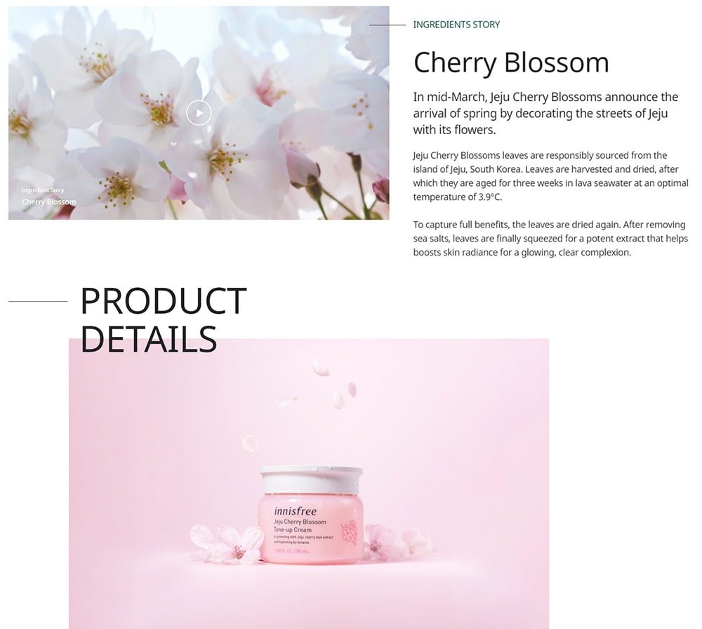 Cherry Blossom Tone-up Cream - Intro