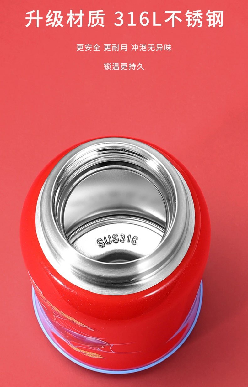 Stainless Steel Thermos Flask - Features